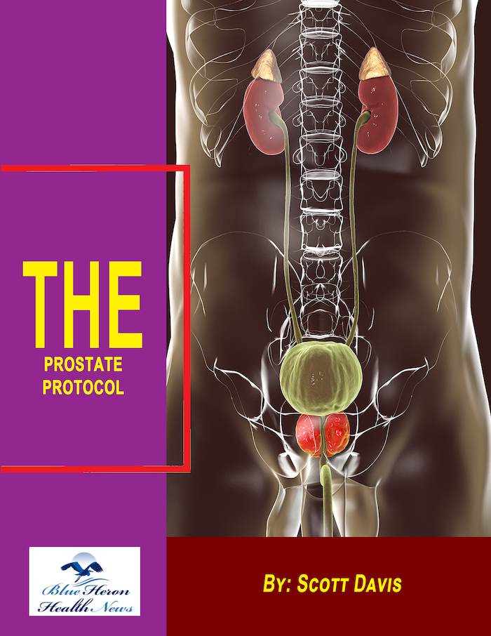 prostate protocol reviews